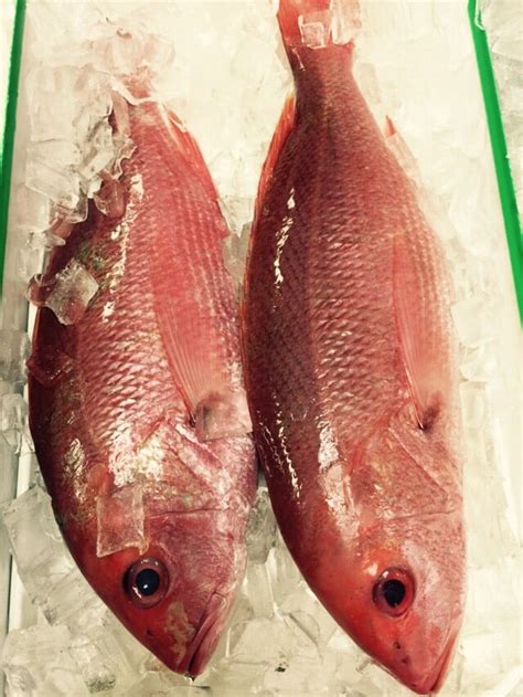 market fish|THE BEST 10 Seafood Markets in SALT LAKE CITY, UT .